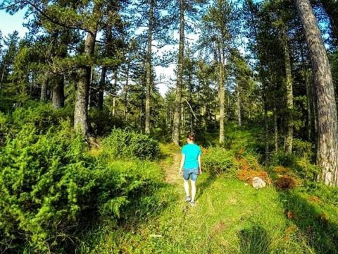 hiking-lake-aoos-metsovo-trekking-active-greece-πεζοπορια.jpg10