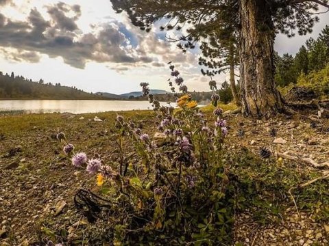 hiking-lake-aoos-metsovo-trekking-active-greece-πεζοπορια.jpg8