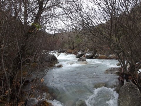 hiking-lousios-river-gorge-φαραγγι-ποταμος-λουσιος-canyon-πεζοπορια-greece-ποταμι (2)