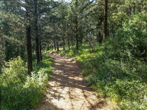 hiking-ymittos-greece-athens-πεζοπορια-υμηττος (7)