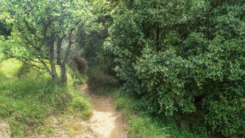 hiking-ymittos-greece-athens-πεζοπορια-υμηττος (5)