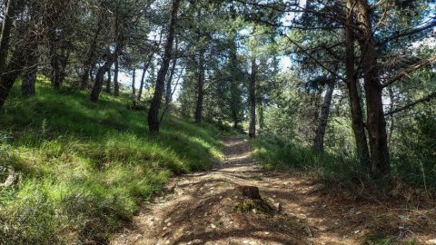 hiking-ymittos-greece-athens-πεζοπορια-υμηττος (12)