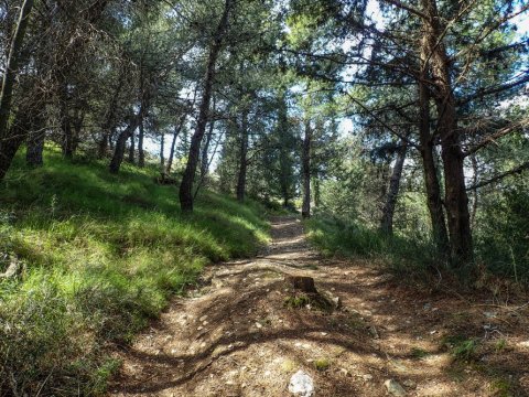 hiking-ymittos-greece-athens-πεζοπορια-υμηττος (12)