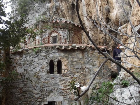 hiking-lousios-pezoporia-greece-trekking-gorge-canyon (6)