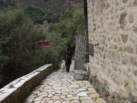 hiking-lousios-pezoporia-greece-trekking-gorge-canyon (2)