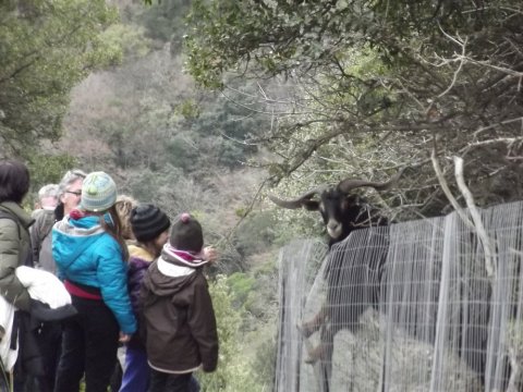 hiking-lousios-pezoporia-greece-trekking-gorge-canyon (3)