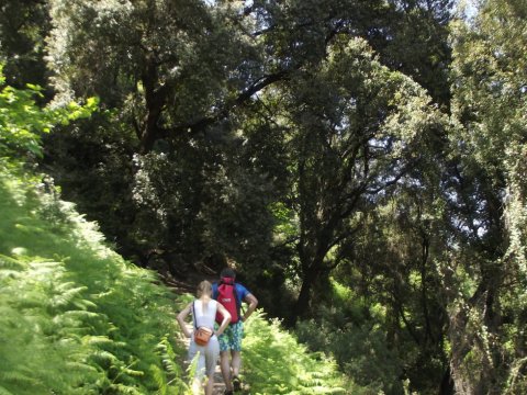 hiking-nemouta-waterfalls-πεζοπορια-greece-erimanthos-καταρράκτες (2)