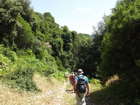 hiking-nemouta-waterfalls-πεζοπορια-greece-erimanthos-καταρράκτες (7)