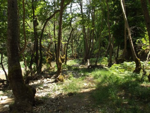 hiking-nemouta-waterfalls-πεζοπορια-greece-erimanthos-καταρράκτες (6)