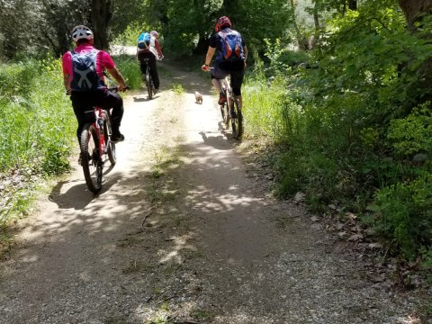 bike-hike-pelion-cycle-greece-πεζοπορια-ποδηλατα-ποδηλασια-mtb (7)