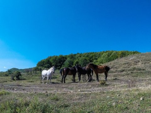 hiking-metsovo-greece-πεζοπορια-trekking-tour.jpg8