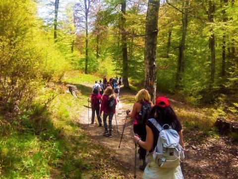 hiking-metsovo-greece-πεζοπορια-trekking-tour.jpg5