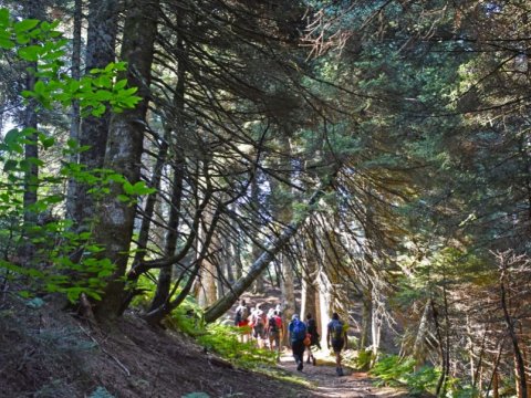 hiking-xerovouni-evia-greece-euboea-πεζοπορια-ξεροβούνι-trekking.jpg6