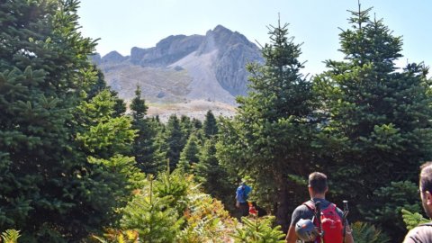 Hiking in Xerovouni & Dirfi, Central Evia