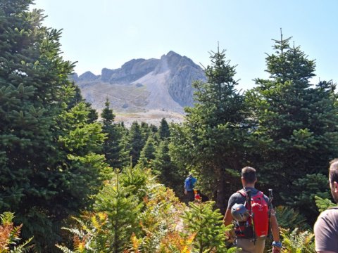 Hiking in Xerovouni & Dirfi, Central Evia