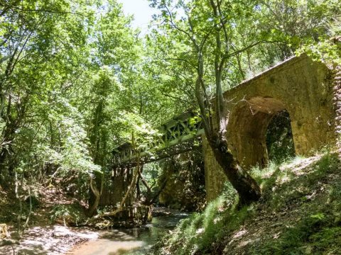 hiking-vouraikos-gorge-canyon-greece-πεζοπορια-trekking-φαραγγι.jpg4