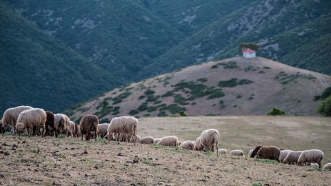 4χ4 Off Road Tour in Mt. Chelmos, Kalavryta