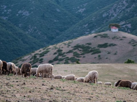 off-road-tour-4x4-safari-achaea-chelmos-kalavryta-greece.jpg5