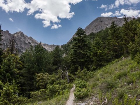 hiking-trekking-chelmos-summit-kalavryta-greece-achaea-πεζοπορια-κορυφη.jpg10