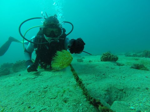 scuba-diving-pelion-volos-greece-discover-center-καταδυσεις.jpg8