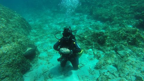 Discover Scuba Diving Pelion Volos