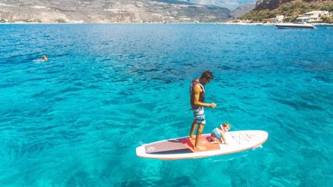 Sup Rentals in Mani