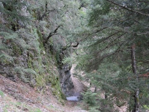 mainalo-trail-hiking-greece-πεζοπορια.jpg12