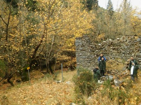 mainalo-trail-hiking-greece-πεζοπορια.jpg7