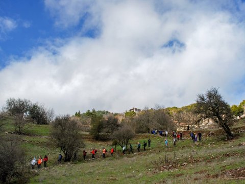 mainalo-trail-hiking-greece-πεζοπορια.jpg5