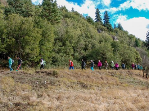 mainalo-trail-hiking-greece-πεζοπορια.jpg6