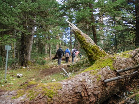 mainalo-trail-hiking-greece-πεζοπορια.jpg4