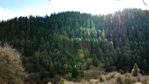 4 ημέρες ''Menalon Trail''