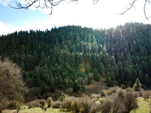 mainalo-trail-hiking-greece-πεζοπορια.jpg3