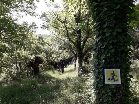 mainalo-trail-hiking-greece-πεζοπορια.jpg2