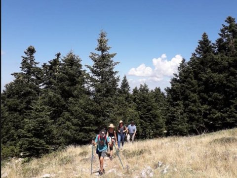 mainalo-trail-hiking-greece-πεζοπορια
