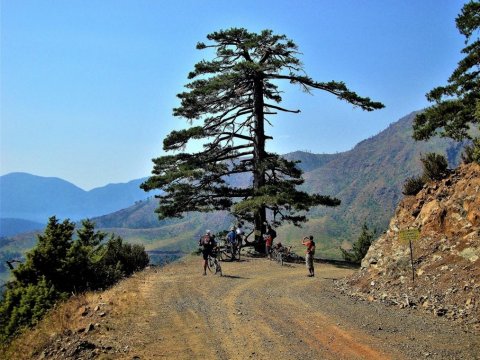 Pindos-Mountain-Bike-Crossing-ποδηλατική-διασχιση-greece.jpg7