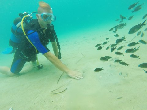 discover-scuba-diving-chalkidiki-kallithea-kassandra-καταδυσεις-greece (21)