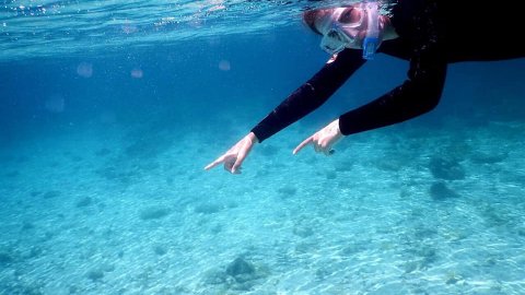 Snorkeling με Σκάφος Καλλιθέα Χαλκιδικής