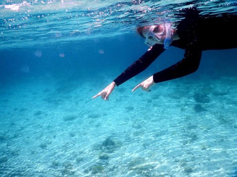 snorkeling-boat-tour-chalkidiki-kallithea-kassandra-greece (1)