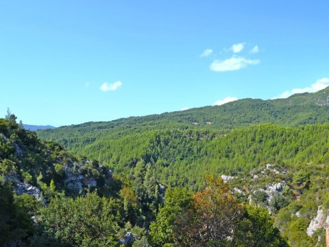 river-trekking-bolovinaina-nileas-evia-hiking-canyon-gorge-φαραγγια-ευβοια-πολοβίναινα-greece.jpg6