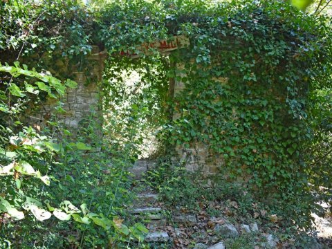 hiking-river-trekking-evia-milο-greece-πεζοπορια-ευβοια