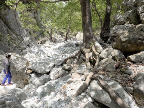 ridomo-canyon-gorge-greece-mani-messinia-φαραγγι-πεζοπορια (2)