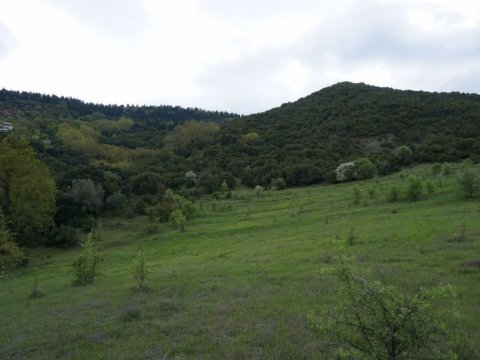 hiking-giona-oiti-greece-πεζοπορια (1)