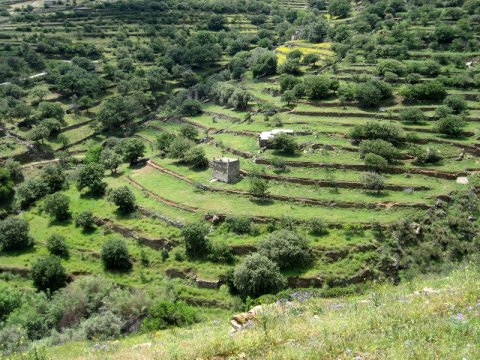 hiking-tinos-andros-trekking-greece-πεζοπορια (3)