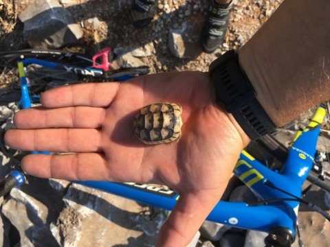 bicyle-mani-cycling-ποσηλατα-μανη-greece-tour.jpg4