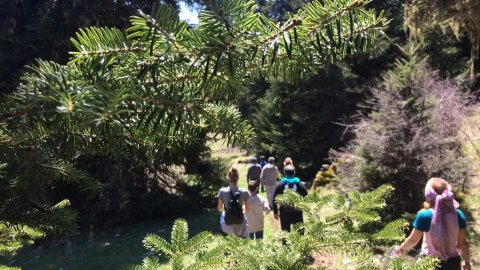 Hiking Ancient Path of Delphi