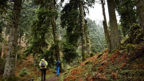 Hiking Elati, Trikala - Bey Cave