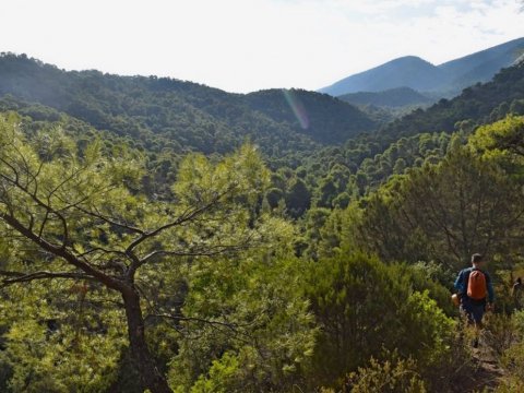 φαραγγι-μυλων-mills-canyon-gorge-greece.jpg3