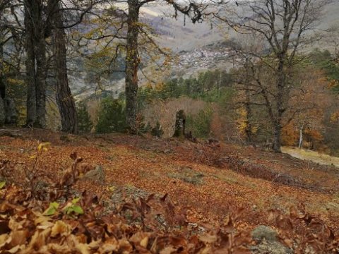 grammos-hiking-greece-πεζοπορια-4χ4-offroad.jpg8