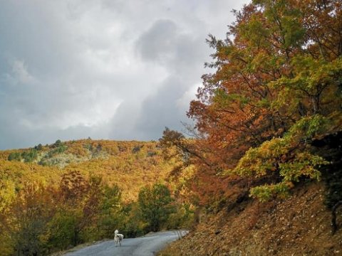 grammos-hiking-greece-πεζοπορια-4χ4-offroad.jpg7